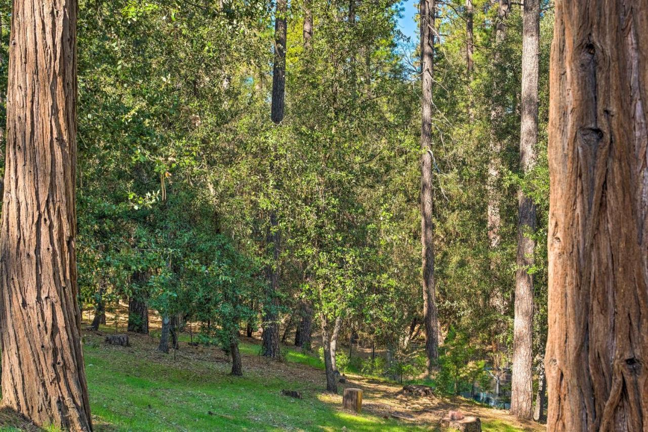 Convenient Apt With Fire Pit About Half-Mi To Lake! Groveland Eksteriør billede